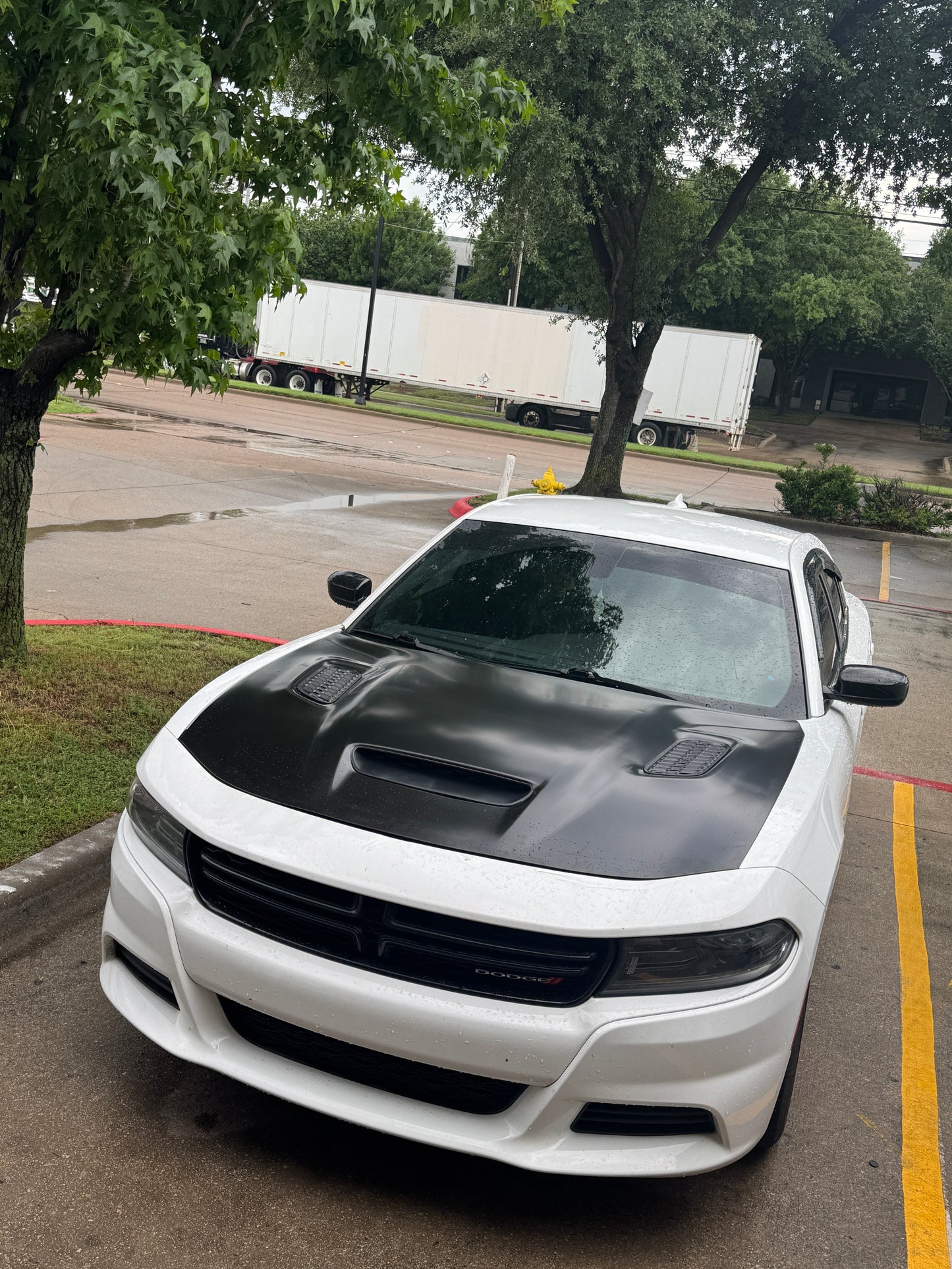 Fits 2015 - 2023 Dodge Charger SRT Hellcat Redeye Style Hood Aluminum