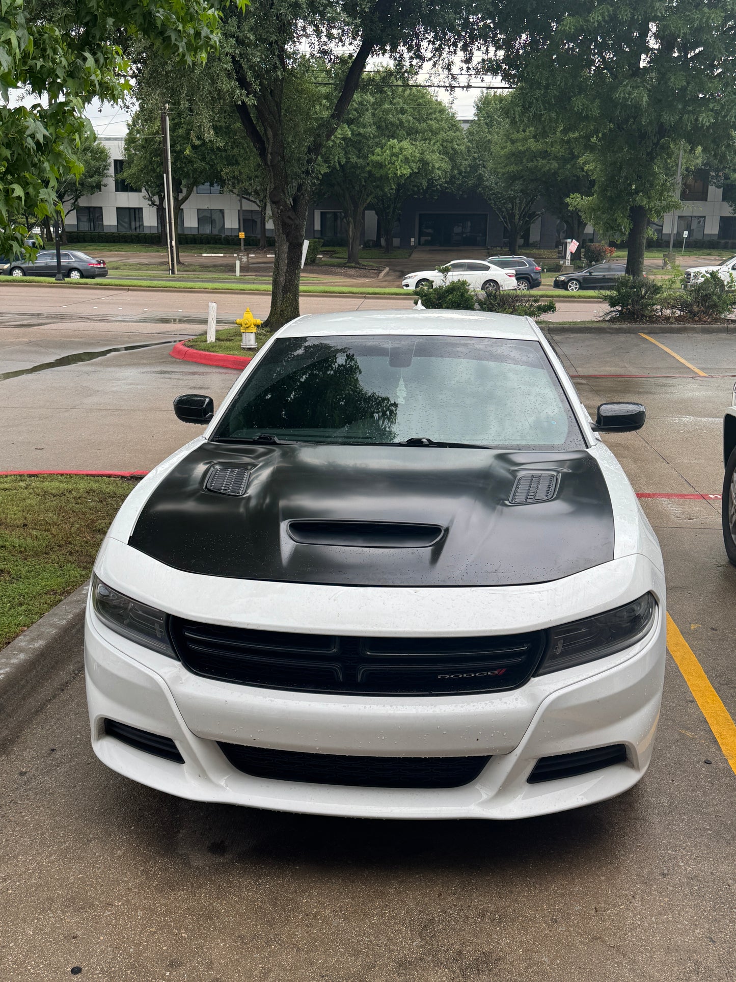 Fits 2015 - 2023 Dodge Charger SRT Hellcat Redeye Style Hood Aluminum